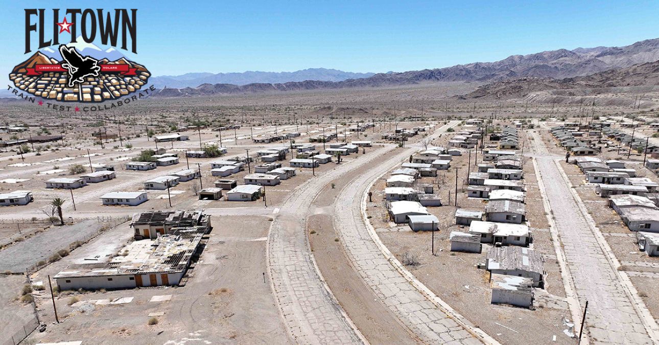 flying lion Fli Town dfr drone training